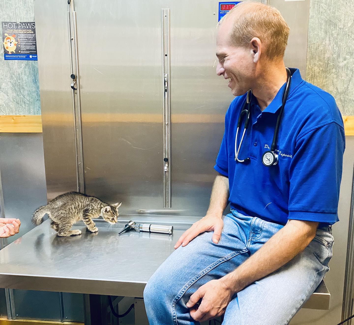 Veterinarian in Granbury Texas Examining a Kitten