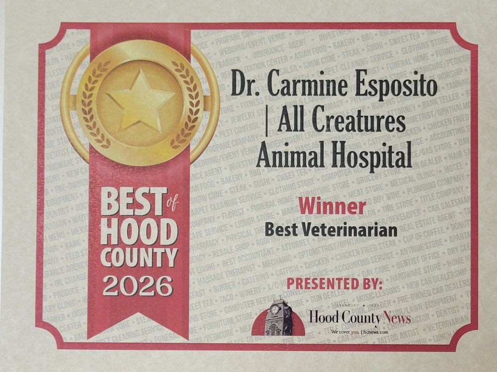 Dr. Carmine Esposito, 2026 Best Veterinarian winner