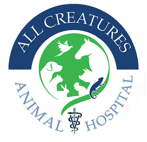 All Creatures Animal Hospital